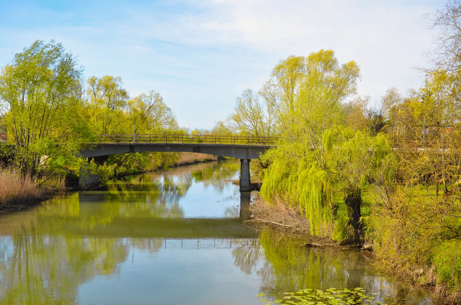 Fluss im Frühling mit frisch ausgetriebenen, hellgrünen Bäumen und einer kleinen Brücke