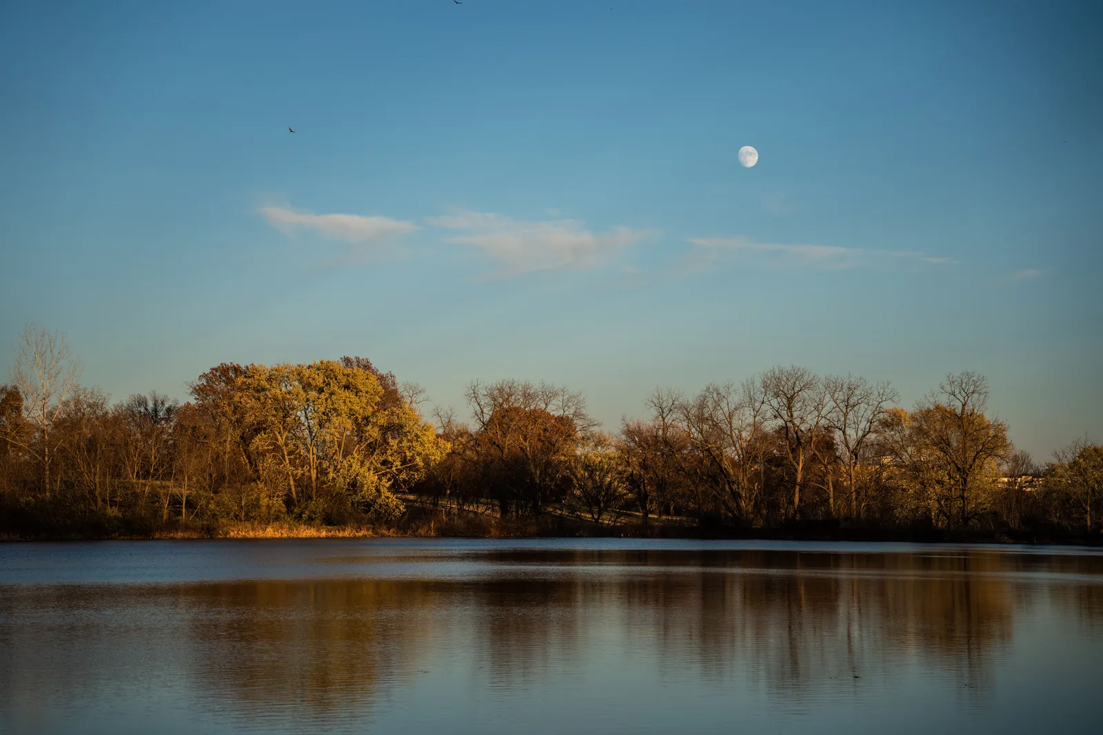 Mond am Taghimmel über einem ruhigen Gewässer