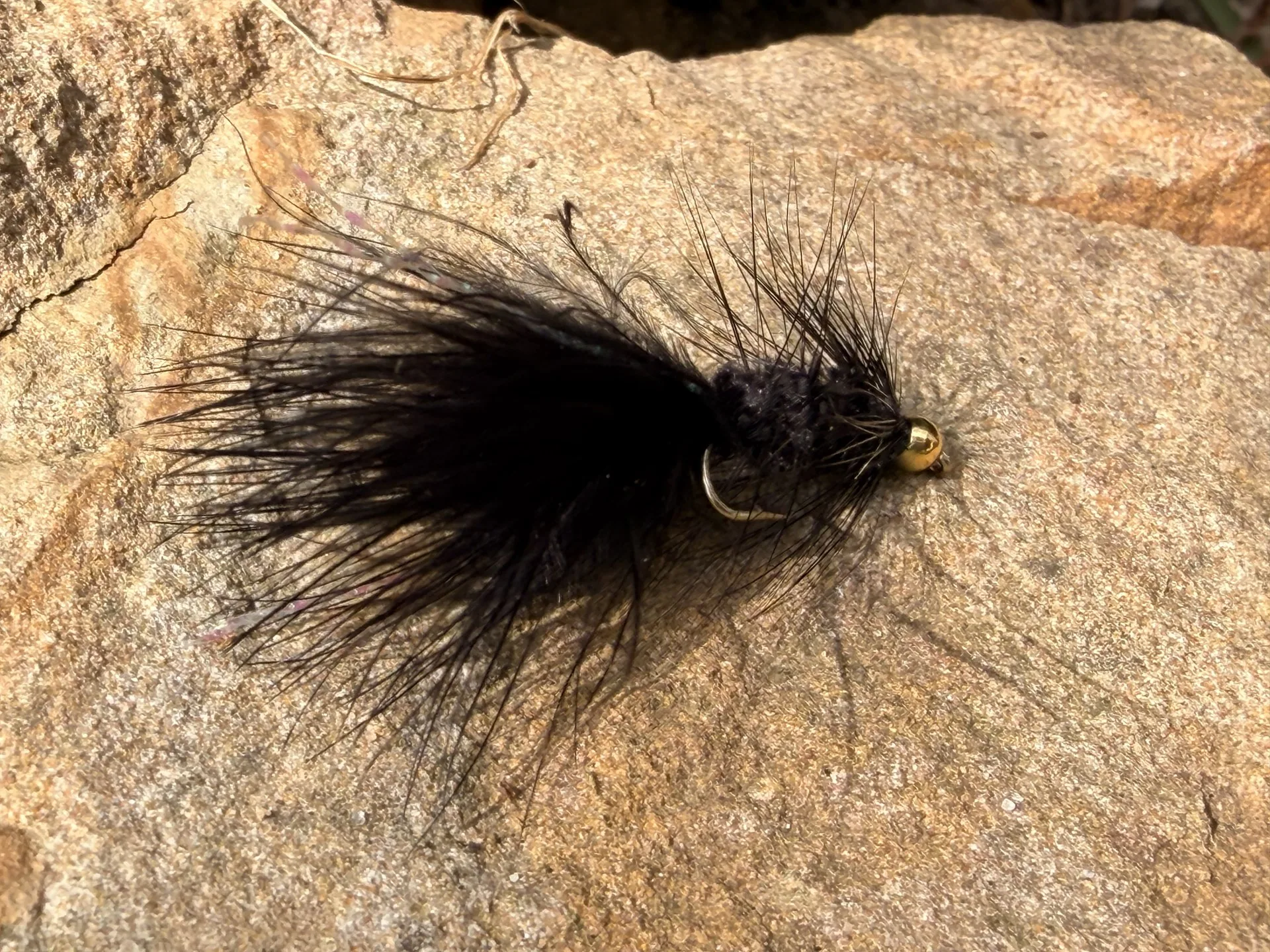 Schwarzer Wooly Bugger mit Goldkopf auf einem Stein