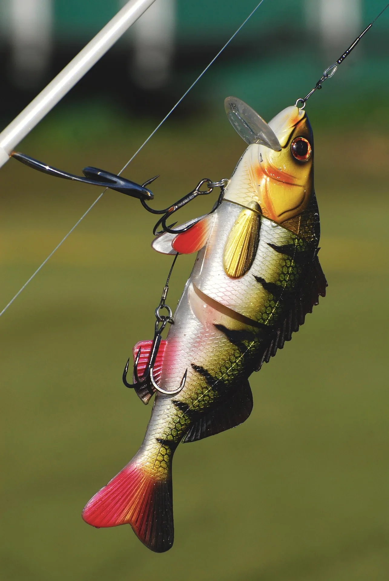 Swimbait im Barsch-Design mit Drillingen und Tauchschaufel hängt an der Angelschnur